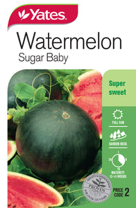 WATERMELON SUGAR BABY SEED