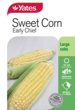 Load image into Gallery viewer, SWEETCORN EARLY CHIEF SEED
