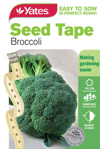 BROCOLLI SEED TAPE