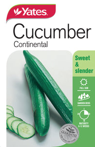 CUCUMBER CONTINENTAL SEED