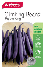 Load image into Gallery viewer, BEANS CLIMBING PURPLE KING SEED
