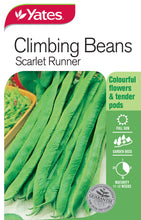 Load image into Gallery viewer, BEANS CLIMBING SCARLET RUNNER SEED
