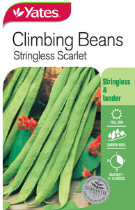 BEANS CLIMBING SCARLET STRINGLESS SEED