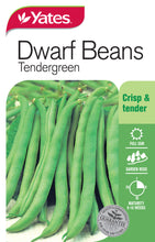 Load image into Gallery viewer, BEANS DWARF TENDERGREEN SEED

