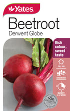 Load image into Gallery viewer, BEETROOT DERWENT GLOBE SEED
