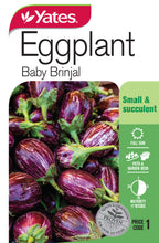 Load image into Gallery viewer, EGGPLANT BABY BRINJAL SEED
