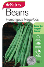 Load image into Gallery viewer, BEANS CLIMBING HUMONGOUS MEGAPODS SEED
