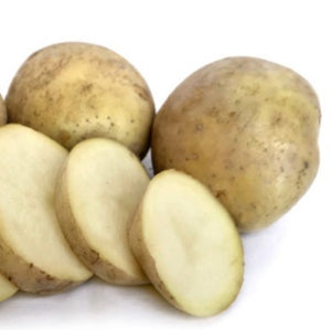 POTATO SEED RUA 1kg