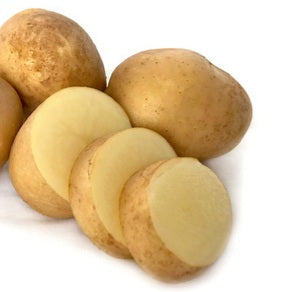 POTATO SEED HAYLO 1kg