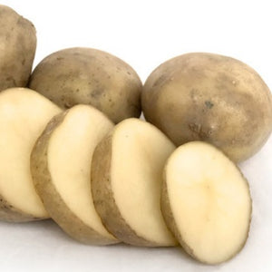 POTATO SEED MARIS ANCHOR 1kg