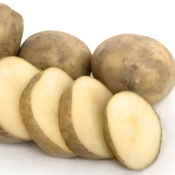 POTATO SEED MARIS ANCHOR 1kg