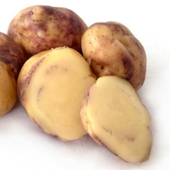 POTATO SEED HUAKARORO 500g