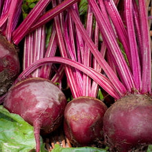 Load image into Gallery viewer, BEETROOT DARK RED ORGANIC SEED
