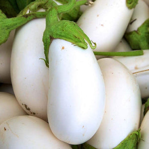 EGGPLANT WHITE STAR SEED