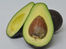 Load image into Gallery viewer, AVOCADO CLEOPATRA PB5
