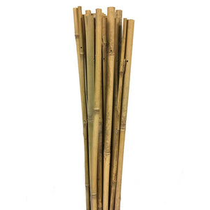 STAKE CANE BAMBOO 90CM - 15 PACK