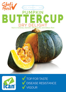 PUMPKIN DRY DELIGHT SEED