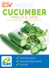 Load image into Gallery viewer, CUCUMBER PROLIFIC MINI SEED
