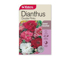 DIANTHUS DOUBLE PINKS SEED