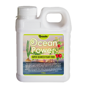 GROSAFE OCEAN POWER 1 LITRE CONCENTRATE