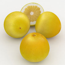 Load image into Gallery viewer, GRAPEFRUIT GOLDEN SPECIAL 4.7L
