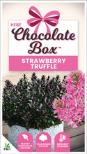 Load image into Gallery viewer, HEBE CHOCOLATE BOX STRAWBERRY TRUFFLES 1.9L
