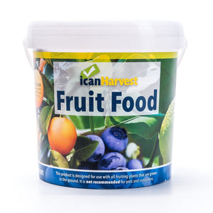 ICAN FRUIT FOOD 2KG