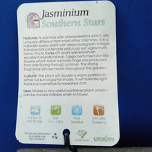 Load image into Gallery viewer, JASMINUM SOUTHERN STARS
