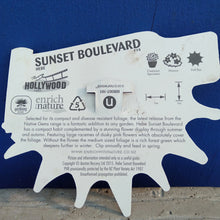 Load image into Gallery viewer, HEBE HOLLYWOOD SUNSET BOULEVARD 2.5L
