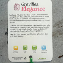 Load image into Gallery viewer, GREVILLEA ELEGANCE
