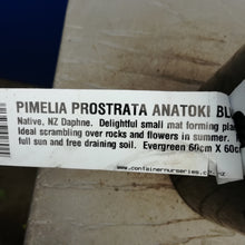 Load image into Gallery viewer, PIMELEA ANATOKI BLUE 2.0L
