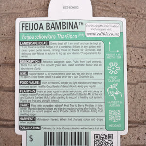 FEIJOA BAMBINA 1.9L