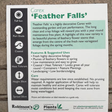 Load image into Gallery viewer, CAREX FEATHER FALLS 1.9L
