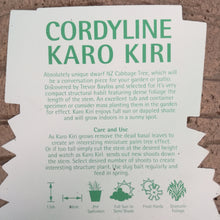 Load image into Gallery viewer, CORDYLINE KARO KIRI 2.5L
