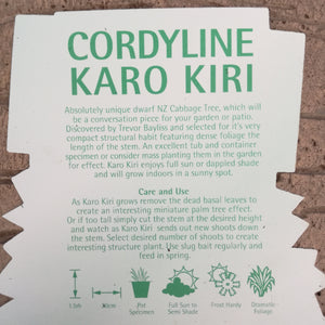 CORDYLINE KARO KIRI 2.5L