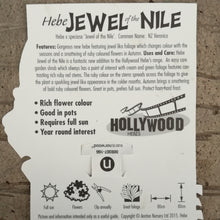 Load image into Gallery viewer, HEBE HOLLYWOOD JEWEL OF THE NILE 2.5L
