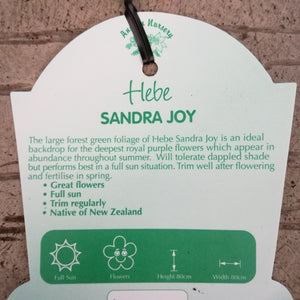 HEBE SANDRA JOY 2.5L