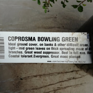 COPROSMA BOWLING GREEN 2.0L