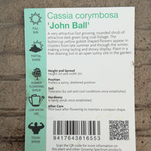 Load image into Gallery viewer, CASSIA JOHN BALL
