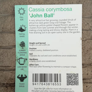 CASSIA JOHN BALL