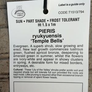 PIERIS TEMPLE BELLS 2.4L