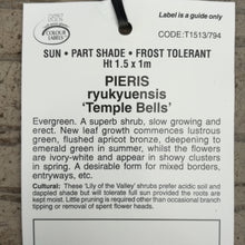 Load image into Gallery viewer, PIERIS TEMPLE BELLS 4.0L
