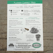 Load image into Gallery viewer, ROSE FLOWER CARPET RED 2.5L
