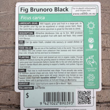 Load image into Gallery viewer, FIG BRUNORO BLACK 3.0L
