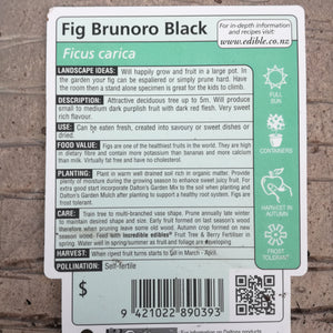 FIG BRUNORO BLACK 3.0L