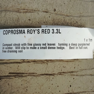 COPROSMA ROYS RED