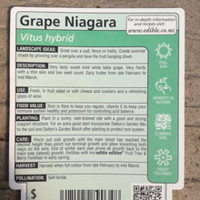 Load image into Gallery viewer, GRAPE NIAGARA 3.0L
