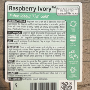 RASPBERRY IVORY 3.0L