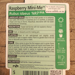 RASPBERRY MINI-ME 1.9L