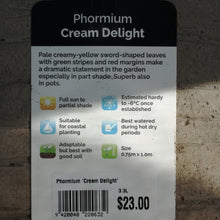 Load image into Gallery viewer, PHORMIUM CREAM DELIGHT 3.3L
